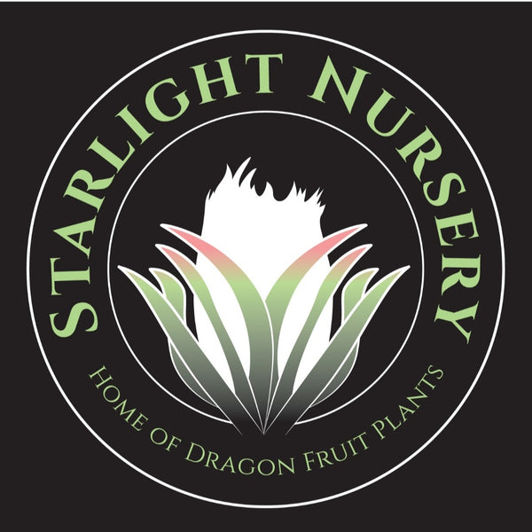 Starlight Nursery 
